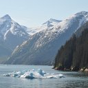 Alaska Cruise '11